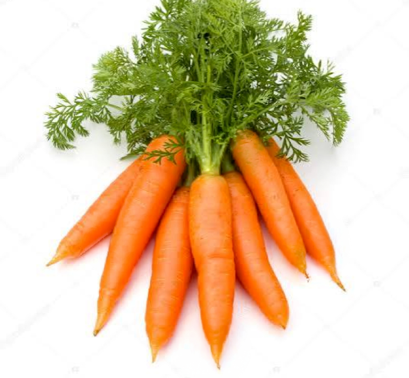 Carrot